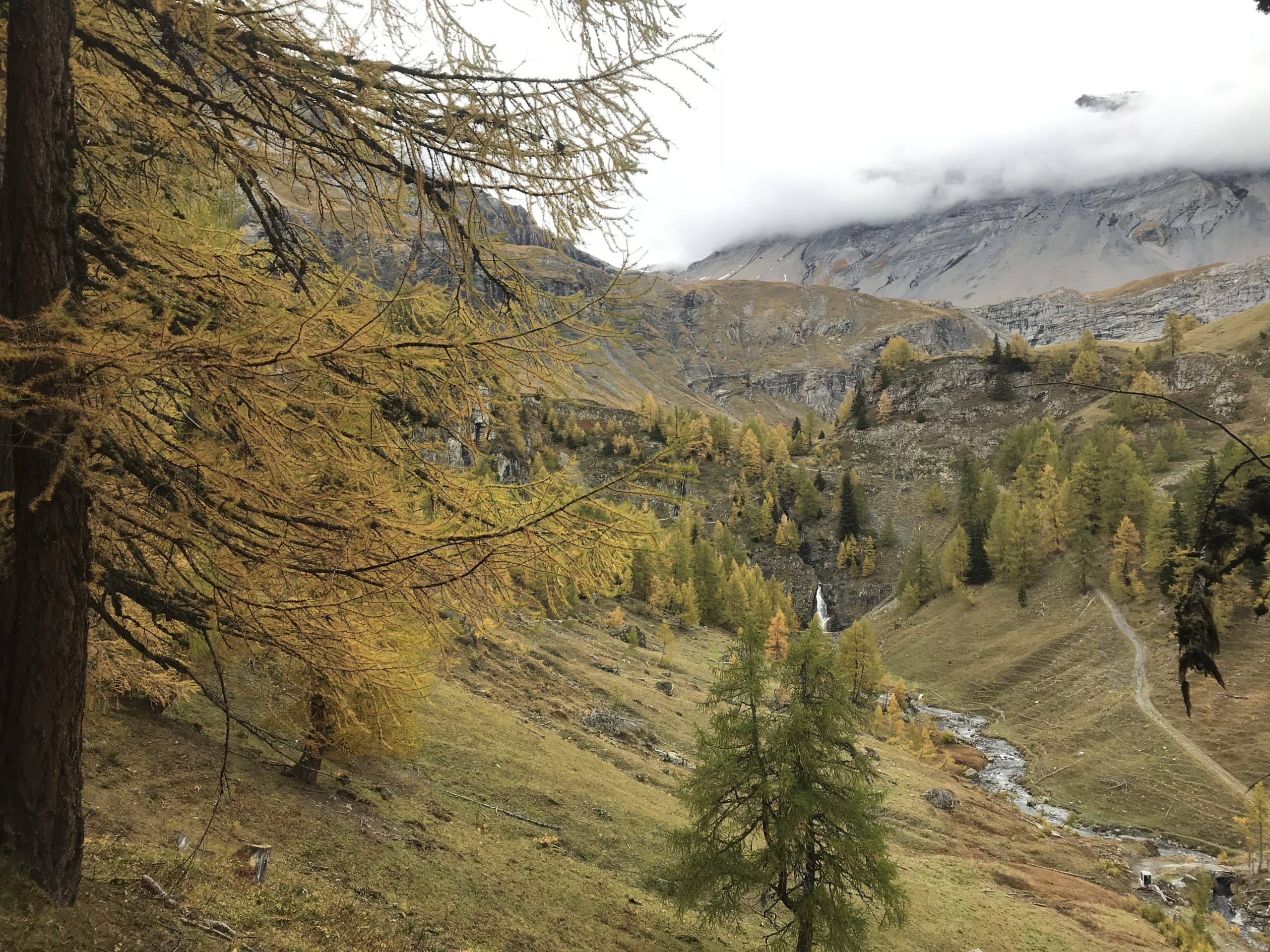 Partager les merveilles de la nature